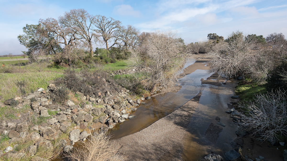 Stream in the Dunnigan area of Yolo County. Photo taken January 18, 2023.