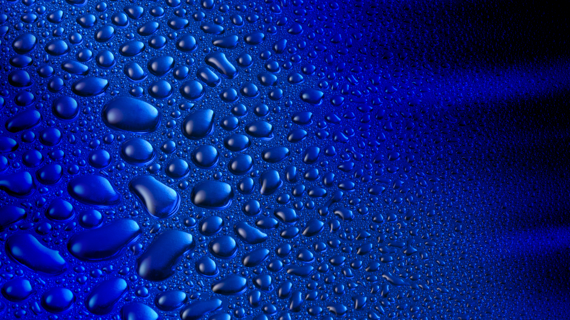 Dreamstime Xxl 19066312 (1)