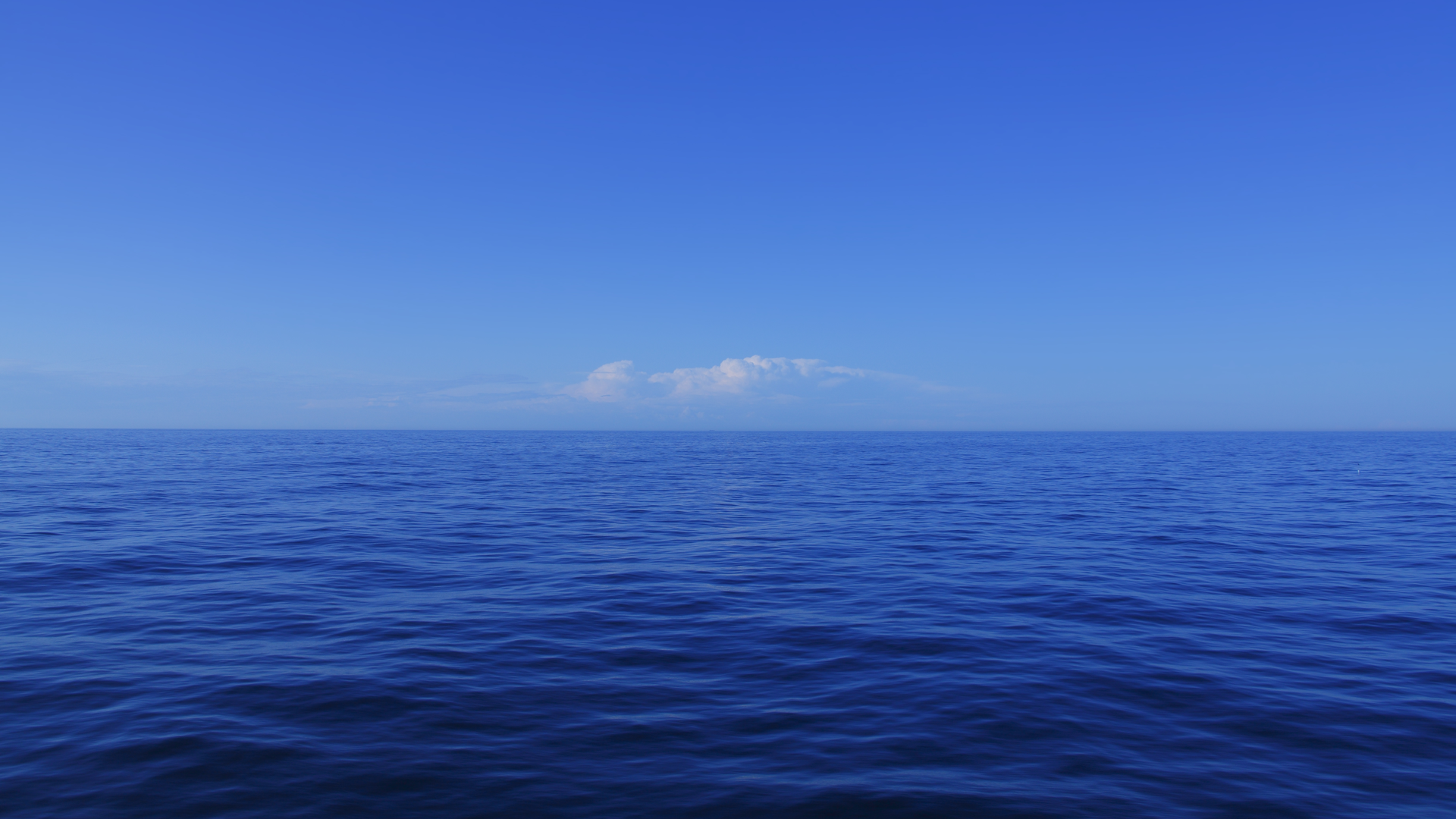 Dreamstime Xxl 21051337 64e8d518b7603