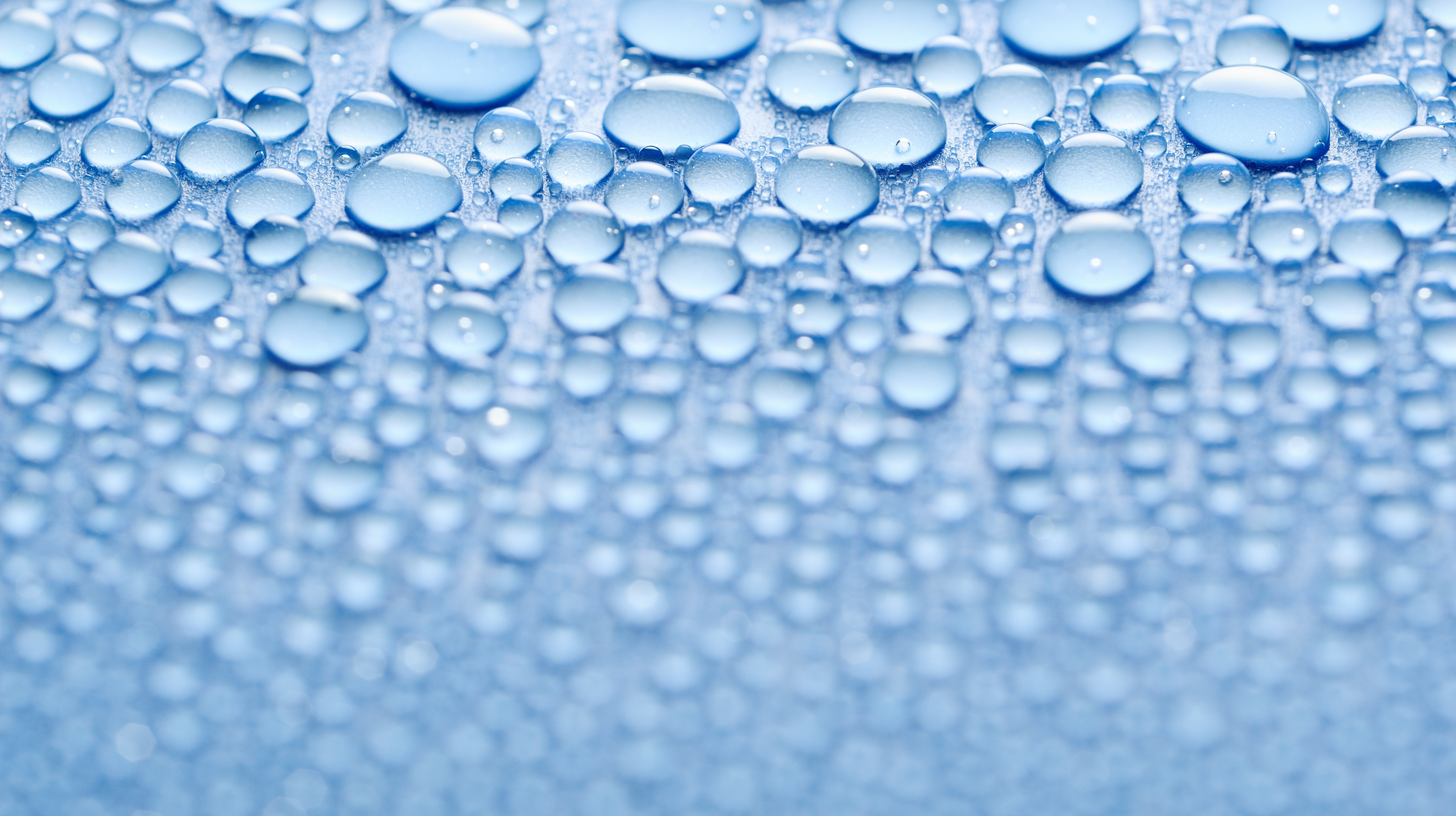 Dreamstime Xxl 6864976 64d636e50b22d 64da23d34e379