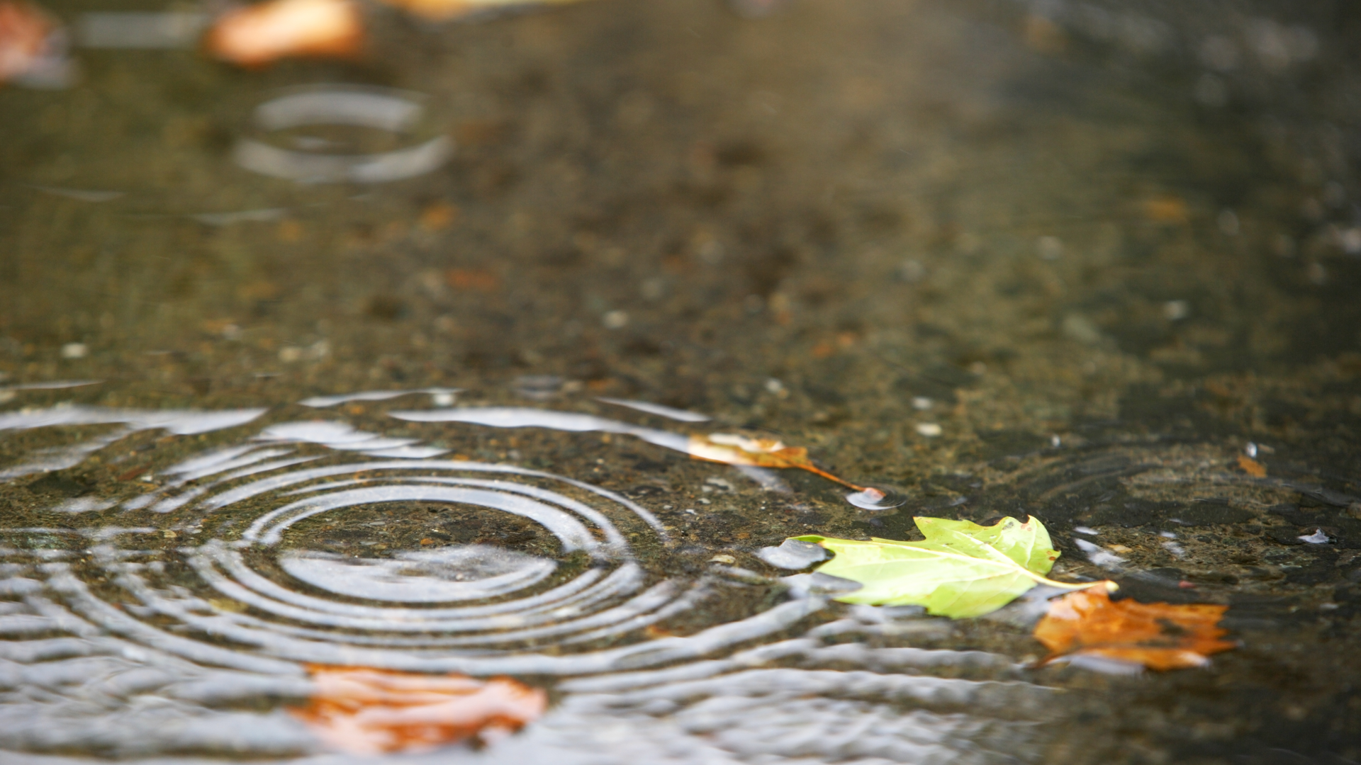 Dreamstime Xxl 6972058 64e8cba1d1202