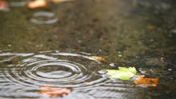 Dreamstime Xxl 6972058 64e8cba1d1202 Dreamstime Xxl 6972058 64e8cba1d1202