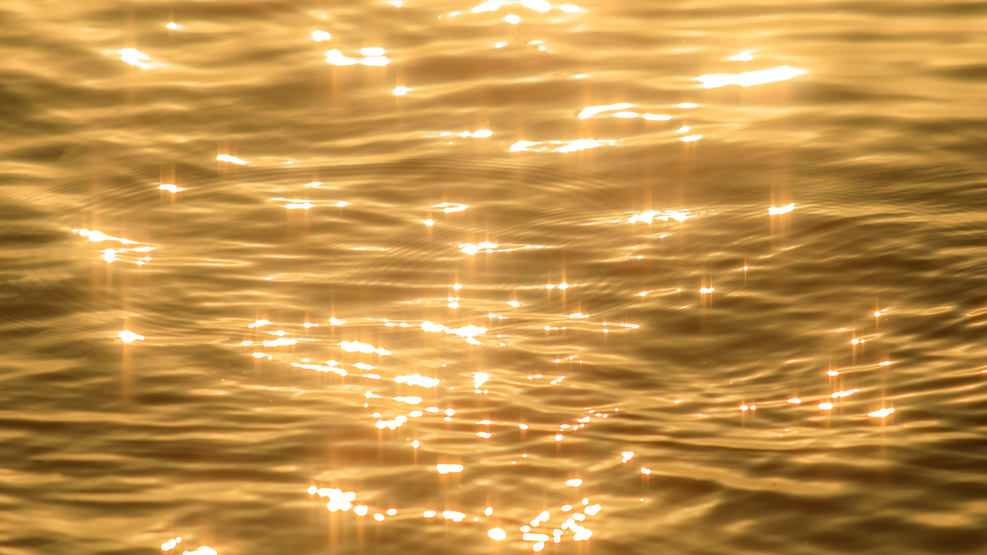 Dreamstime Xxl 153614165 6515bb84e7bf1