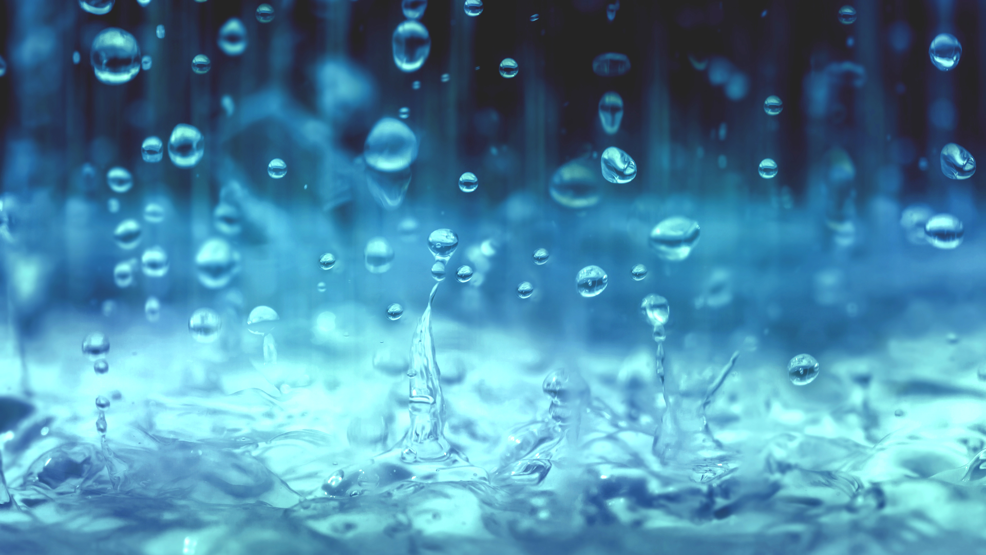 Dreamstime Xxl 56849111 6513216e42194