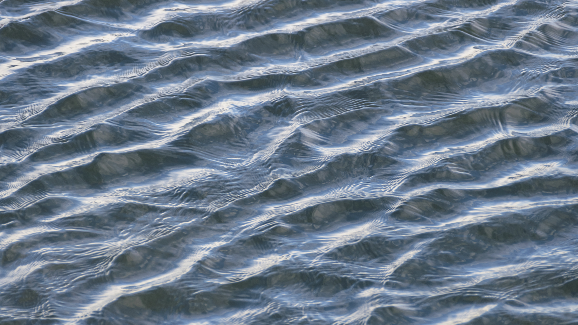 Henry Pratt Company unveils Pratt P77 Knife Gate Valve WaterWorld