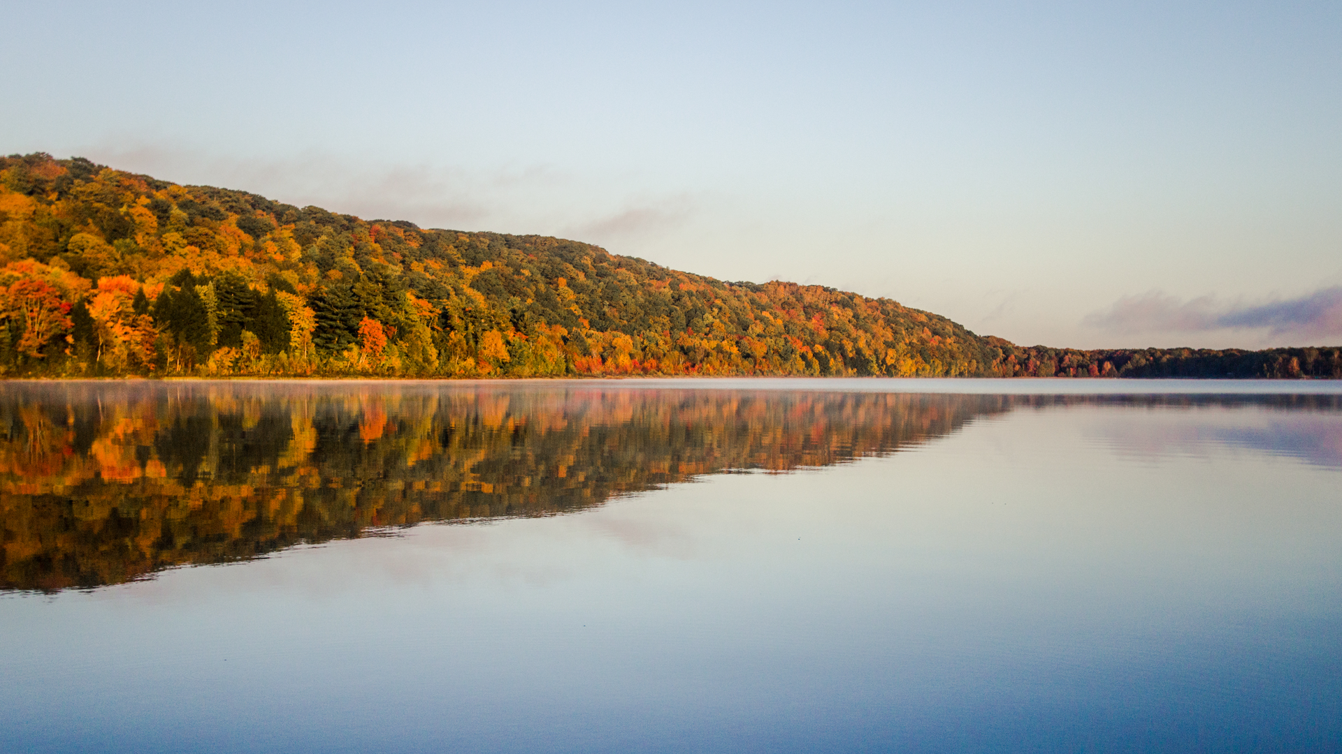 Dreamstime Xxl 111579093 6537ceb68b744