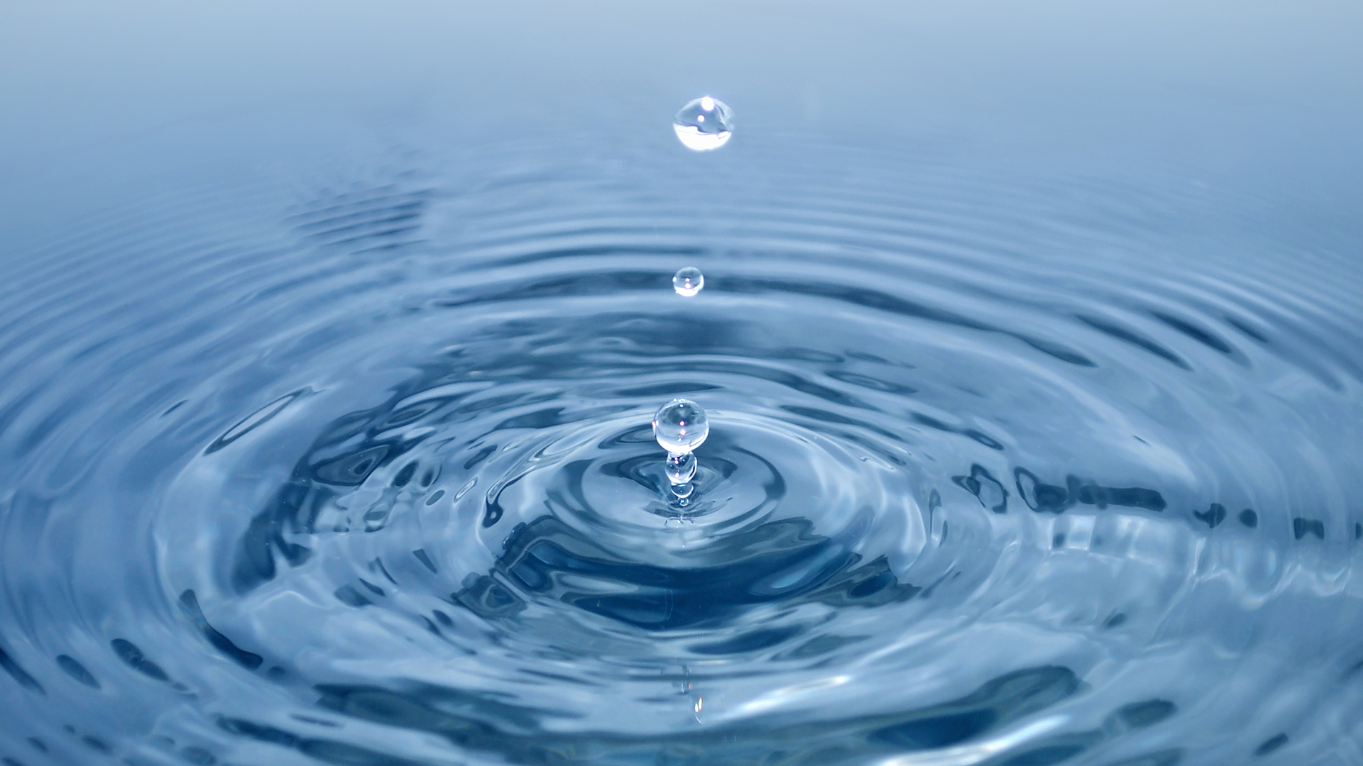 Dreamstime Xxl 17657741 654171cd3abe3