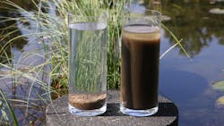 Figure 1: SVI5 comparison of aerobic granular sludge (left) and conventional activated sludge (right). Figure 1: SVI5 comparison of aerobic granular sludge (left) and conventional activated sludge (right).