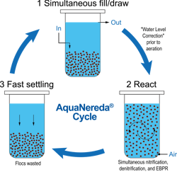 Figure 2: AquaNereda® cycle structure Figure 2: AquaNereda® cycle structure
