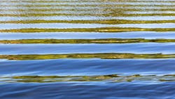 654cfd8bfe1ce9001d27a9df Dreamstime 31537592 654cfd8bfe1ce9001d27a9df Dreamstime 31537592