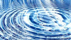 65564854b79799001e9910e3 Dreamstime Xxl 4430685 1 65564854b79799001e9910e3 Dreamstime Xxl 4430685 1