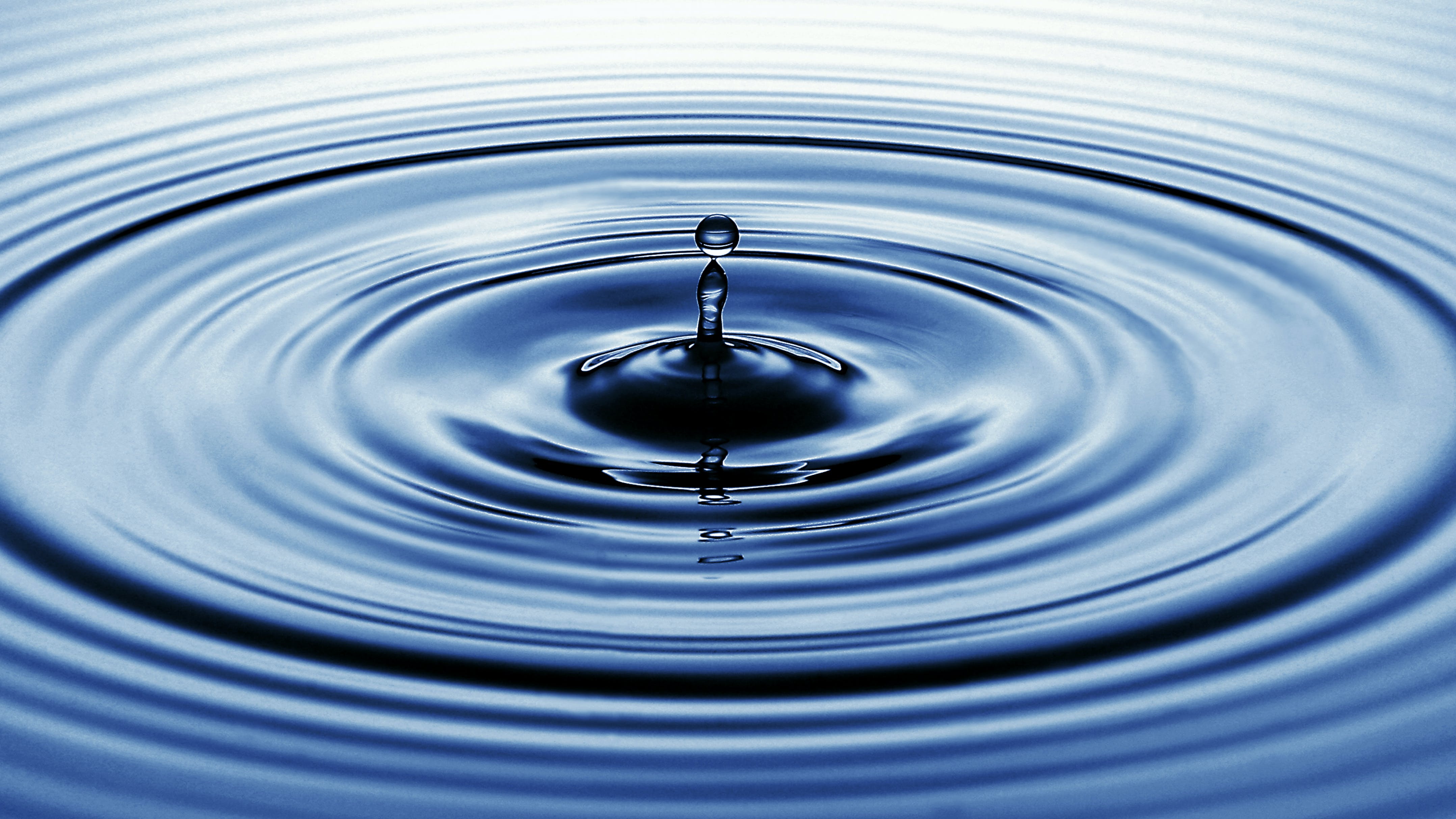 655e0289a0200d001e2e2ecf Dreamstime Xxl 8331601 2