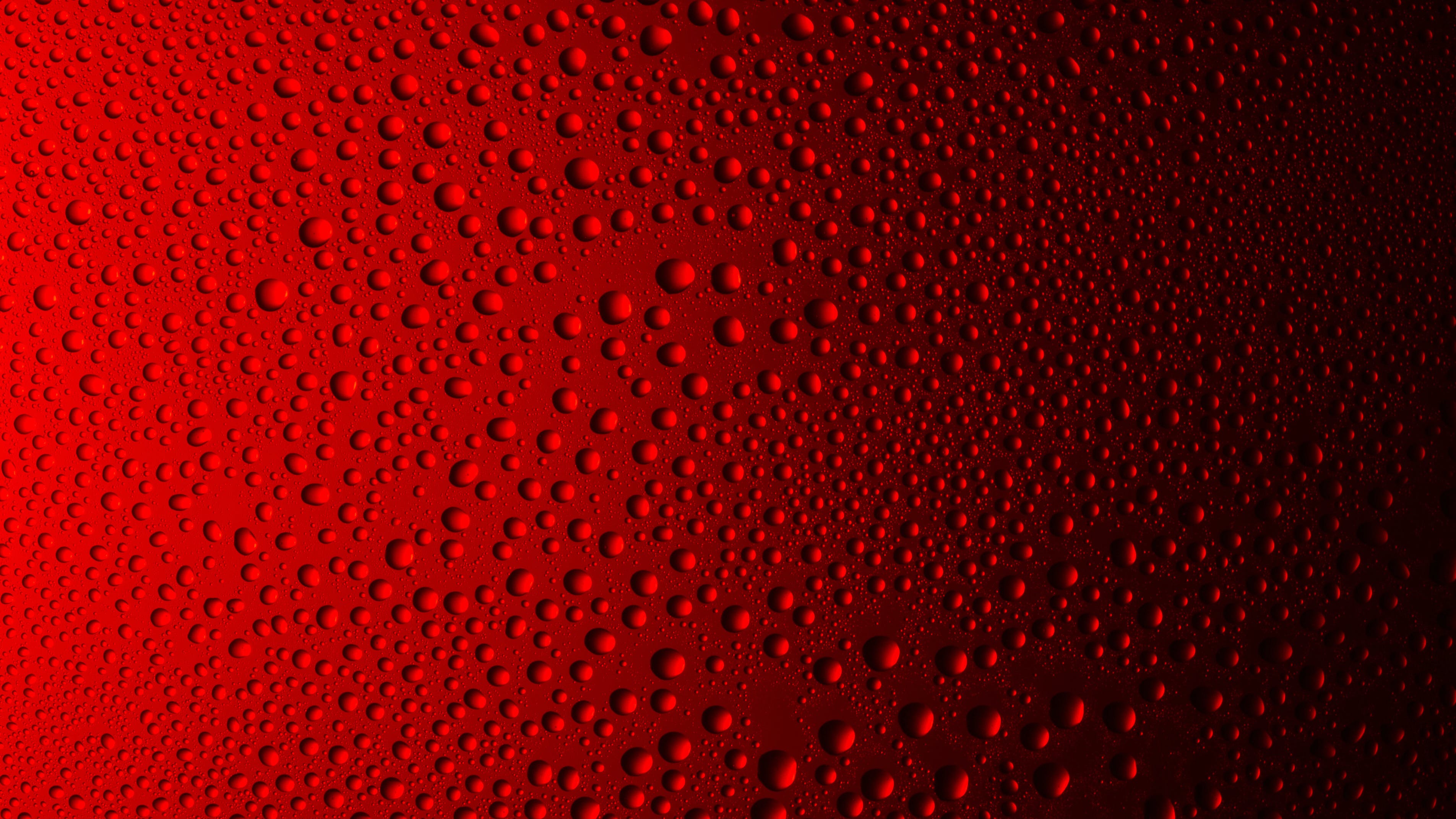 6568c0ee22e540001edfe50e Dreamstime Xl 113550356