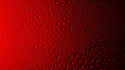 6568c0ee22e540001edfe50e Dreamstime Xl 113550356 6568c0ee22e540001edfe50e Dreamstime Xl 113550356