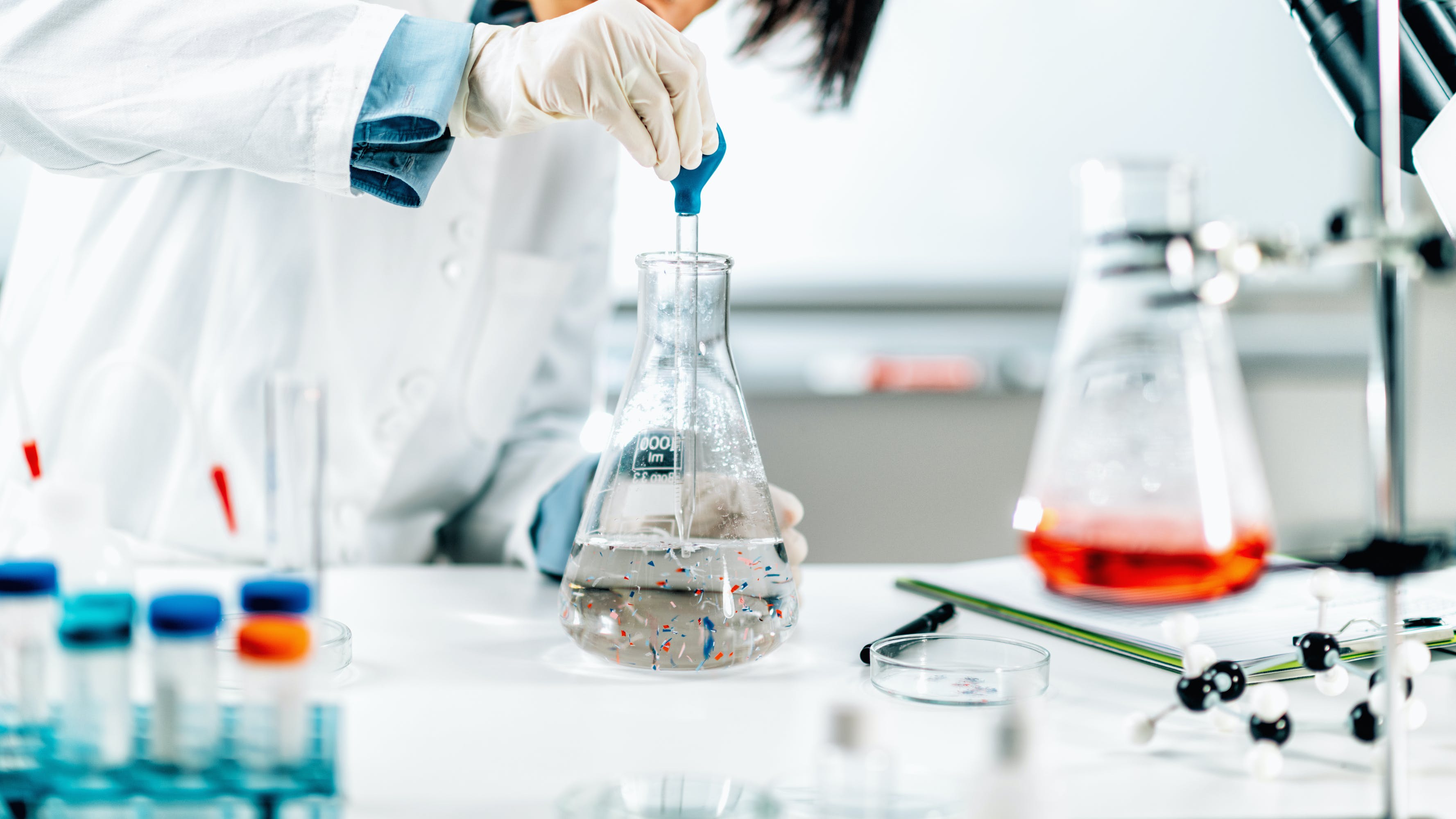 6581c75053aae0001e920327 Dreamstime Xl 211899116