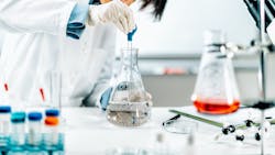 6581c75053aae0001e920327 Dreamstime Xl 211899116 6581c75053aae0001e920327 Dreamstime Xl 211899116