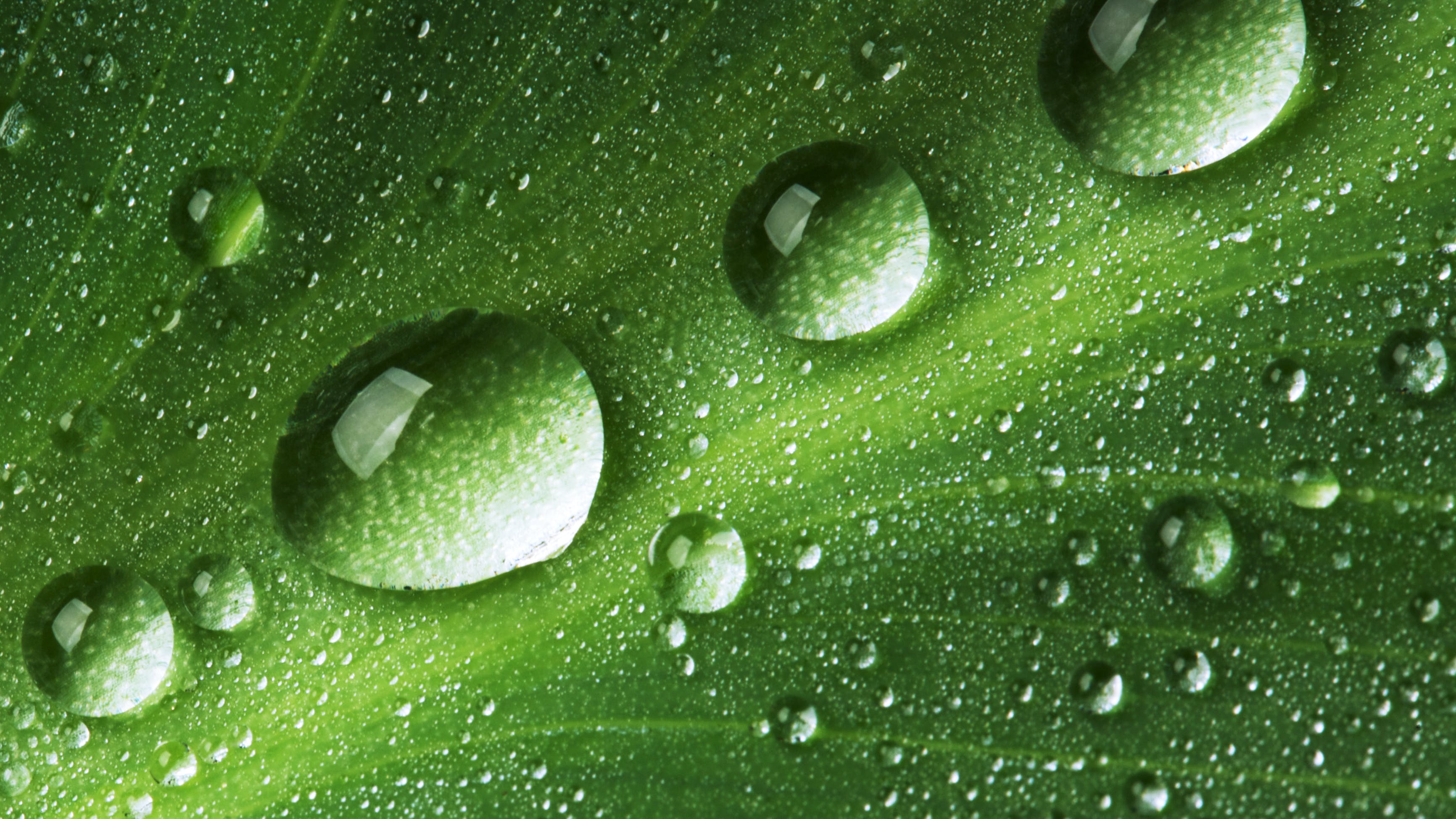 658459fdf978fb001eb323cd Dreamstime Xxl 9946677