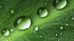 658459fdf978fb001eb323cd Dreamstime Xxl 9946677 658459fdf978fb001eb323cd Dreamstime Xxl 9946677