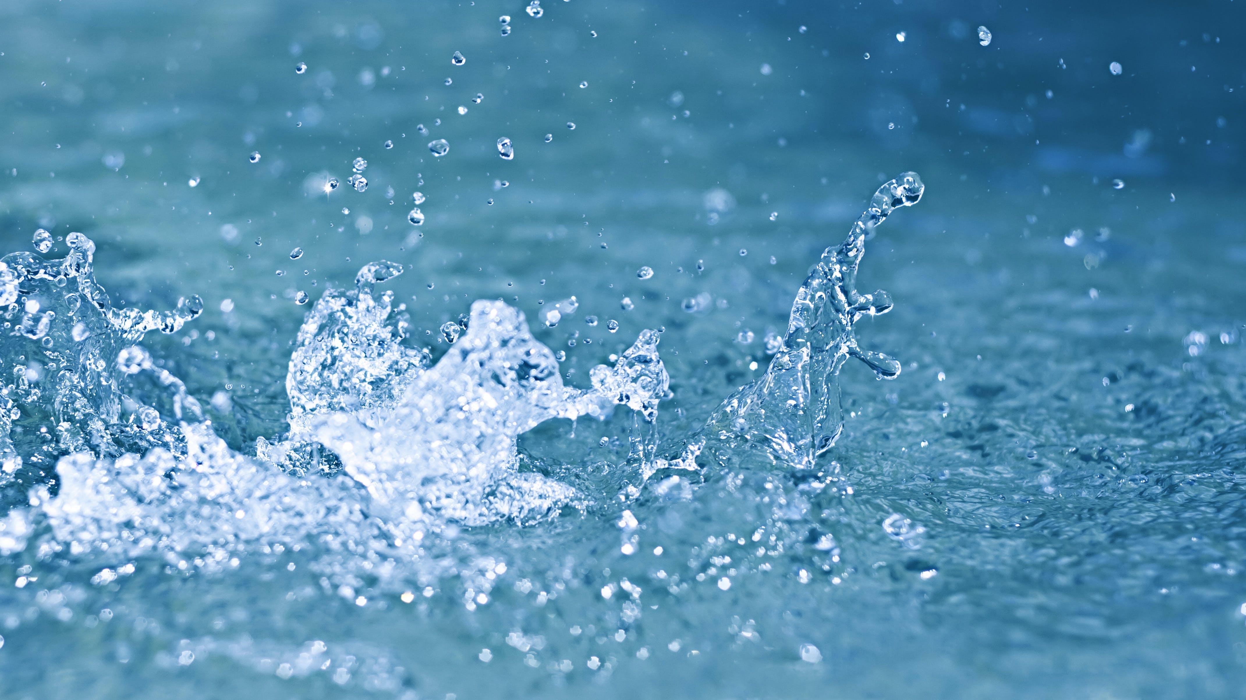 dreamstime_xxl_15059062