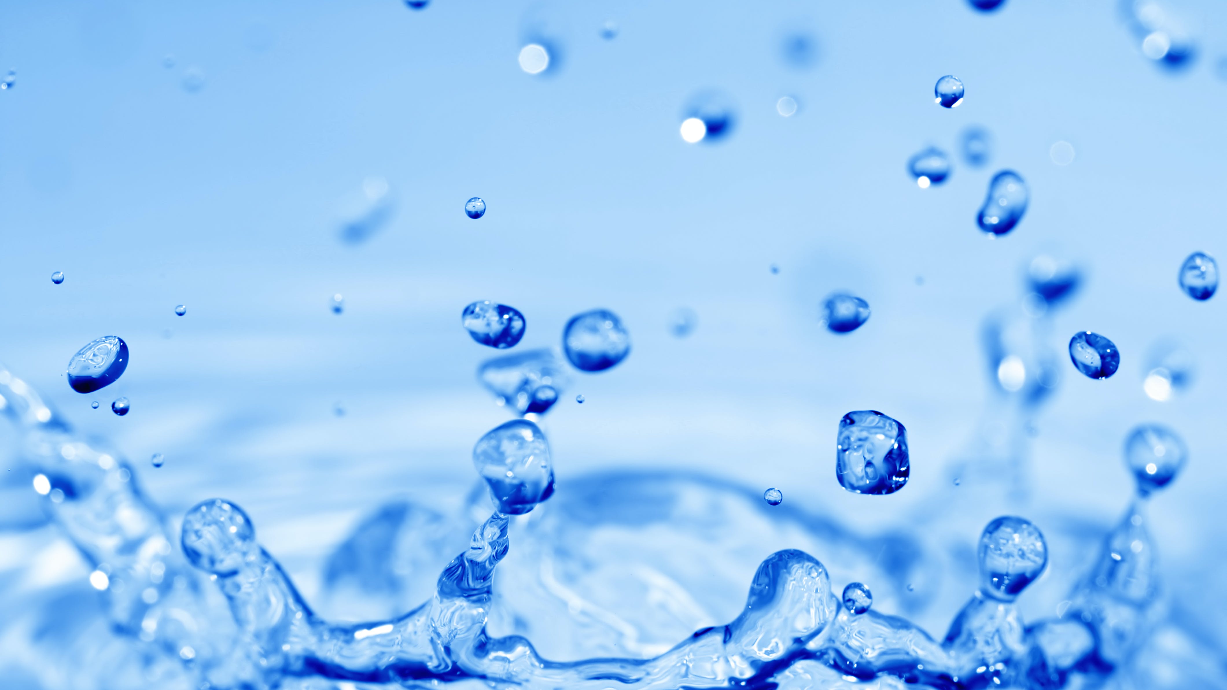 658b2038a22dd6001e675b65 Dreamstime Xxl 4428559