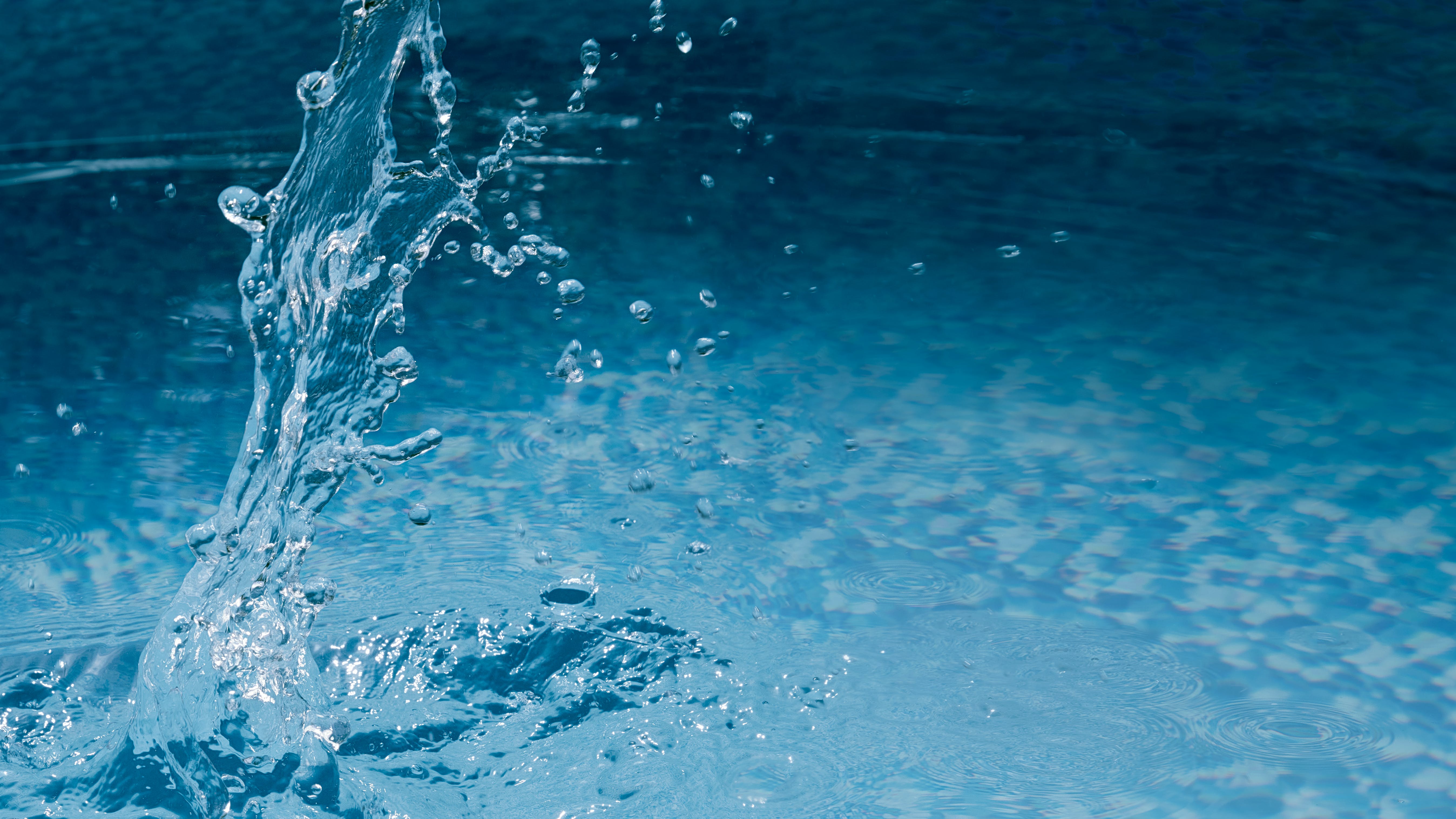 65956cdd16d5a0001e5d876a Dreamstime Xxl 255952635