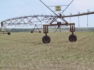 659869afcc2f00001ed097d5 Wqp Soil