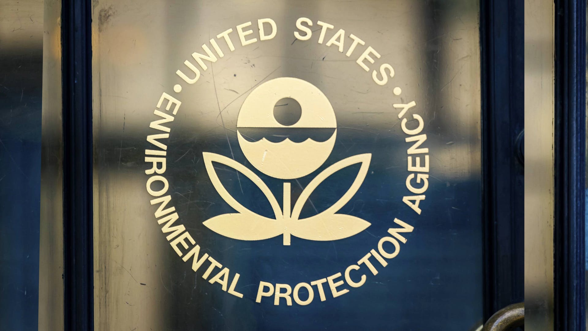 659f1d790d91a3001e1b3791 Untitled 26