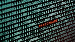 65b3c8c4a1f8b7001e6f5b14 Dreamstime Xxl 132877885 65b3c8c4a1f8b7001e6f5b14 Dreamstime Xxl 132877885