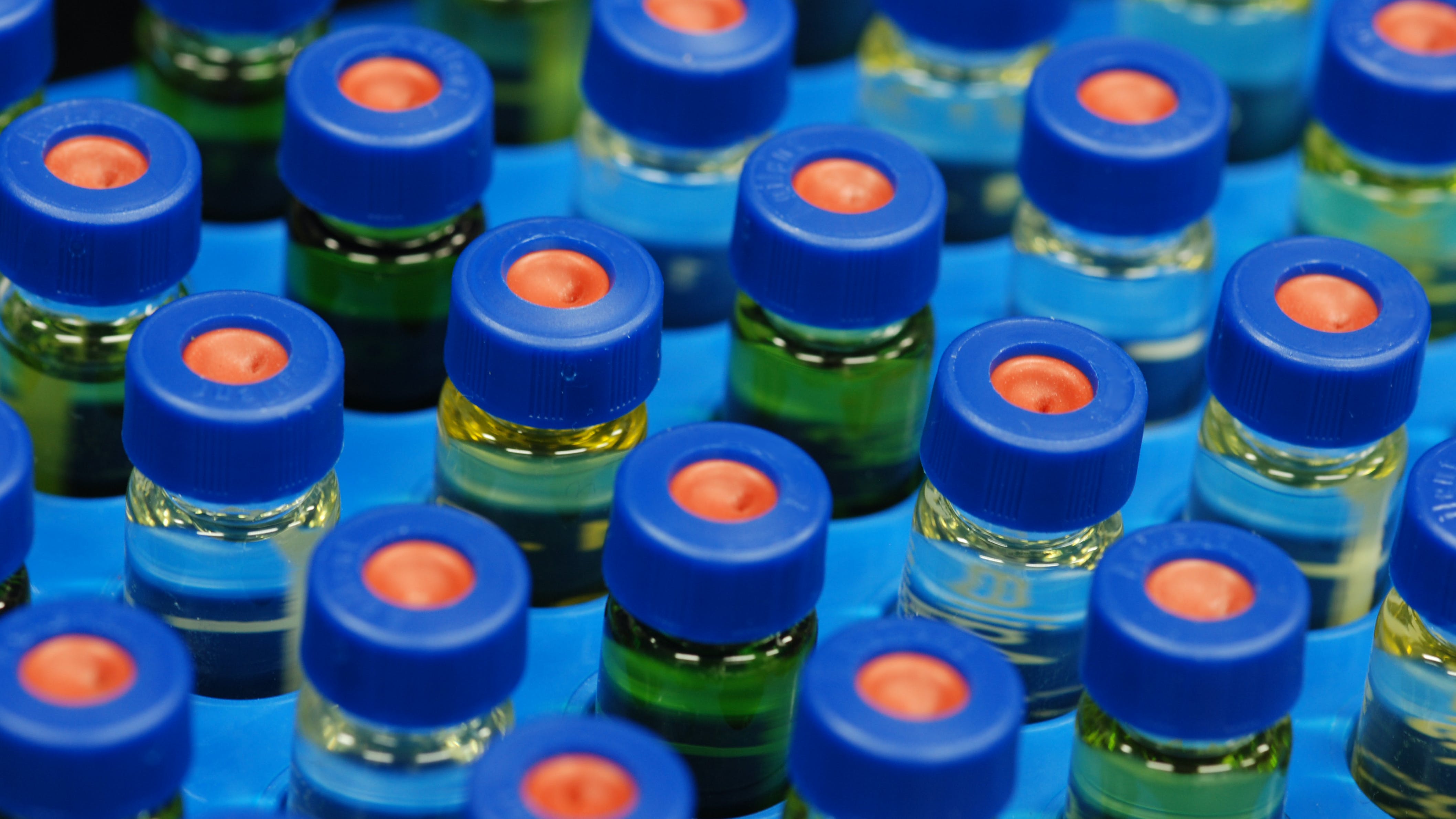 65c63a38befa3e001e505928 Dreamstime Xxl 12530064