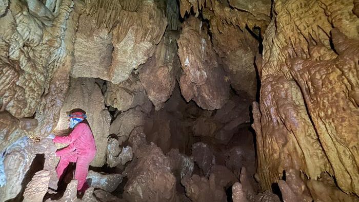Vale Telheiro, the Portuguese cave which was part of this study and is a global hotspot of underground biodiversity.