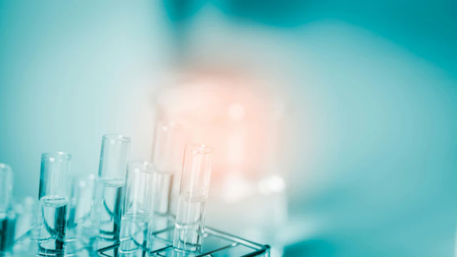 dreamstime_xxl_130282812_1