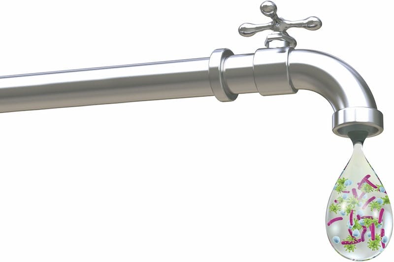 65e724641f04ab001e1d84ca Plumbignprevention