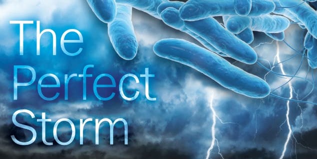 65e72512a9f492001e1bdee5 Screen Shot 20210706 At 11