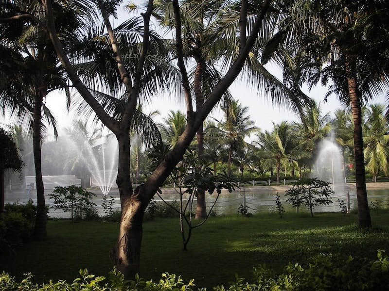 65e72539a9f492001e1bdf0f Chennai