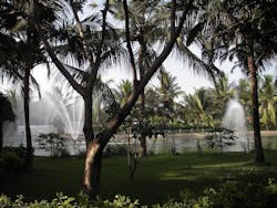 65e72539a9f492001e1bdf0f Chennai 65e72539a9f492001e1bdf0f Chennai