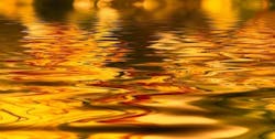 65e7253e1f04ab001e1d864a Water Quality 65e7253e1f04ab001e1d864a Water Quality