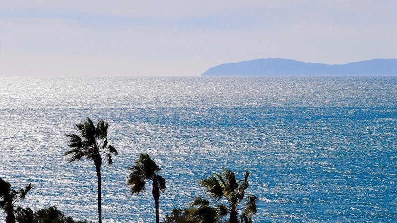 65e725681f04ab001e1d8685 Floridawater