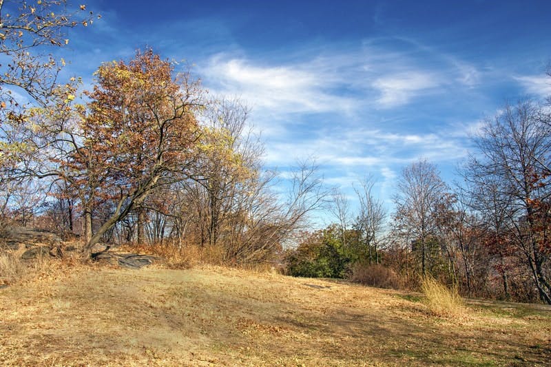 65e725cb1f04ab001e1d86e9 Highbridgewater