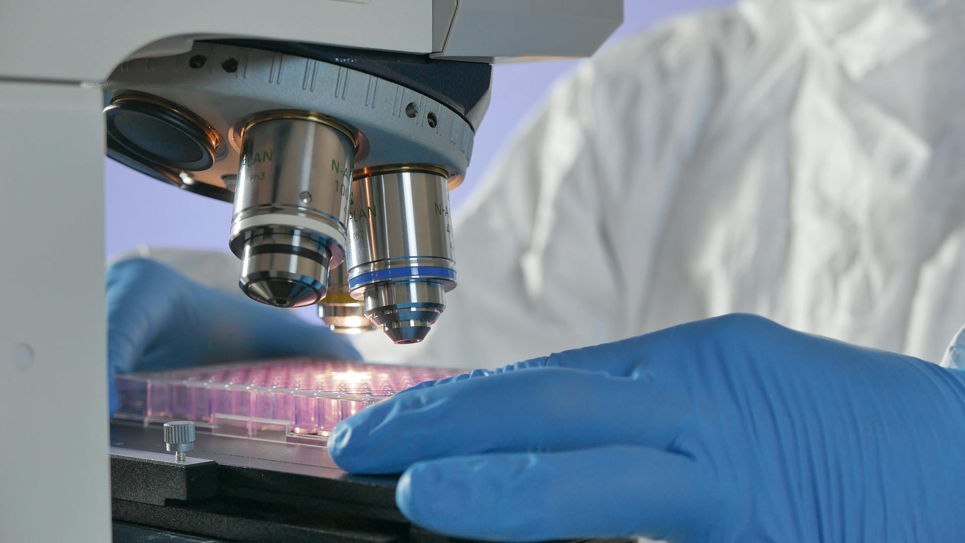 65e725ffa9f492001e1be022 Dreamstime Xxl 144586305