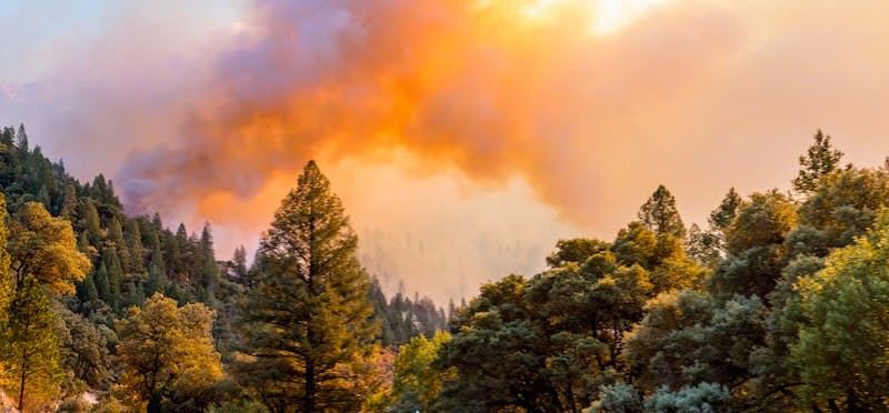 65e7260f1f04ab001e1d8733 Water Quality