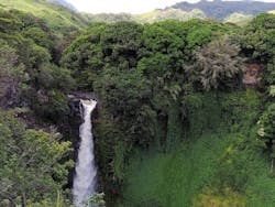 65e72663a9f492001e1be0d6 Hawaiiwater 0 65e72663a9f492001e1be0d6 Hawaiiwater 0