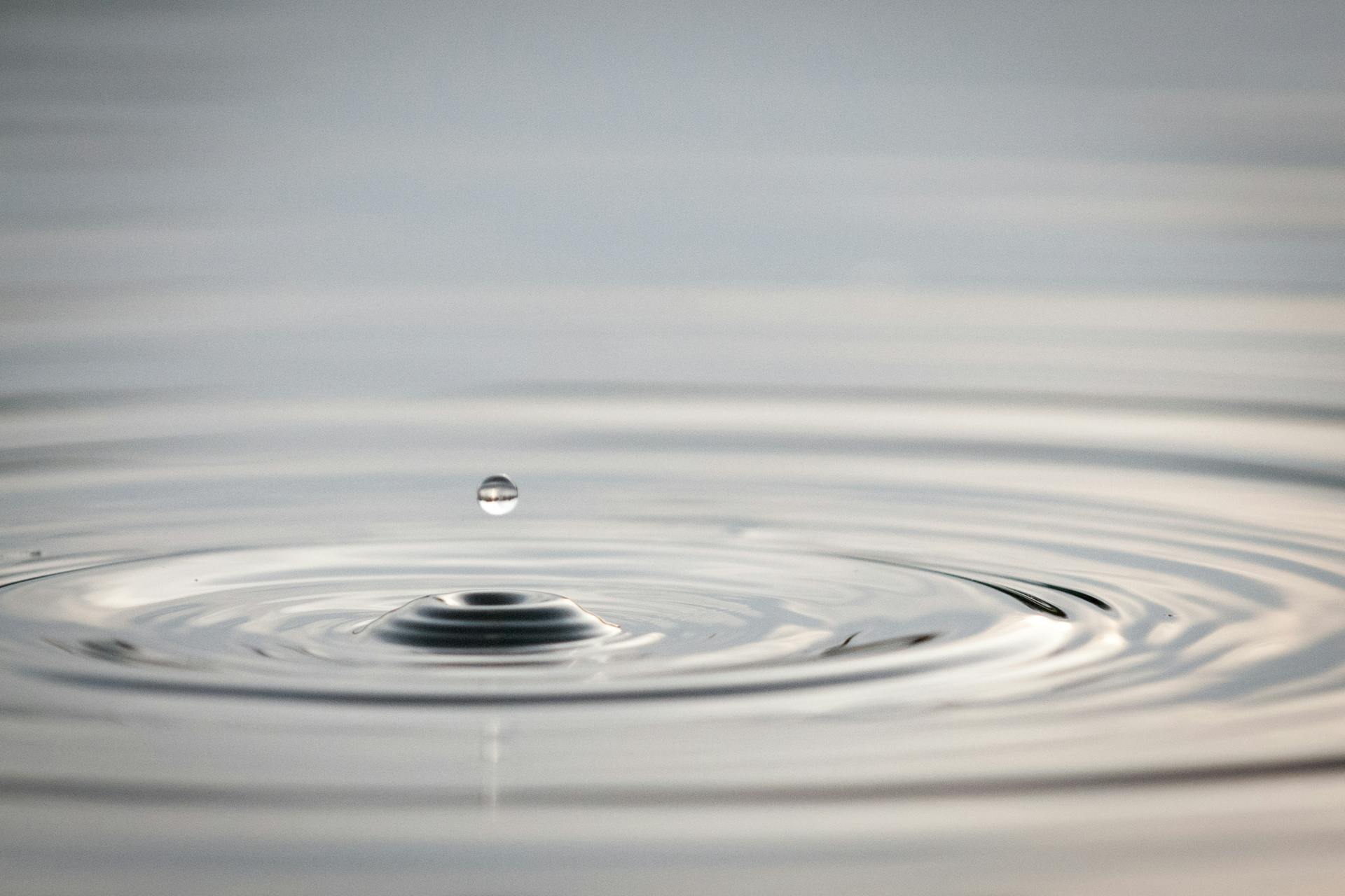 65e726ad1f04ab001e1d881f Dreamstime Xl 70460074