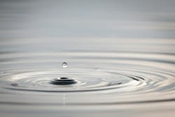 65e726ad1f04ab001e1d881f Dreamstime Xl 70460074 65e726ad1f04ab001e1d881f Dreamstime Xl 70460074