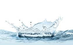 65e726b2a9f492001e1be12e Dreamstime Xl 166305902 65e726b2a9f492001e1be12e Dreamstime Xl 166305902