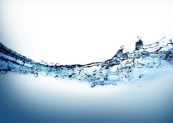 65e727511f04ab001e1d88bf Dreamstime Xxl 4645058 65e727511f04ab001e1d88bf Dreamstime Xxl 4645058