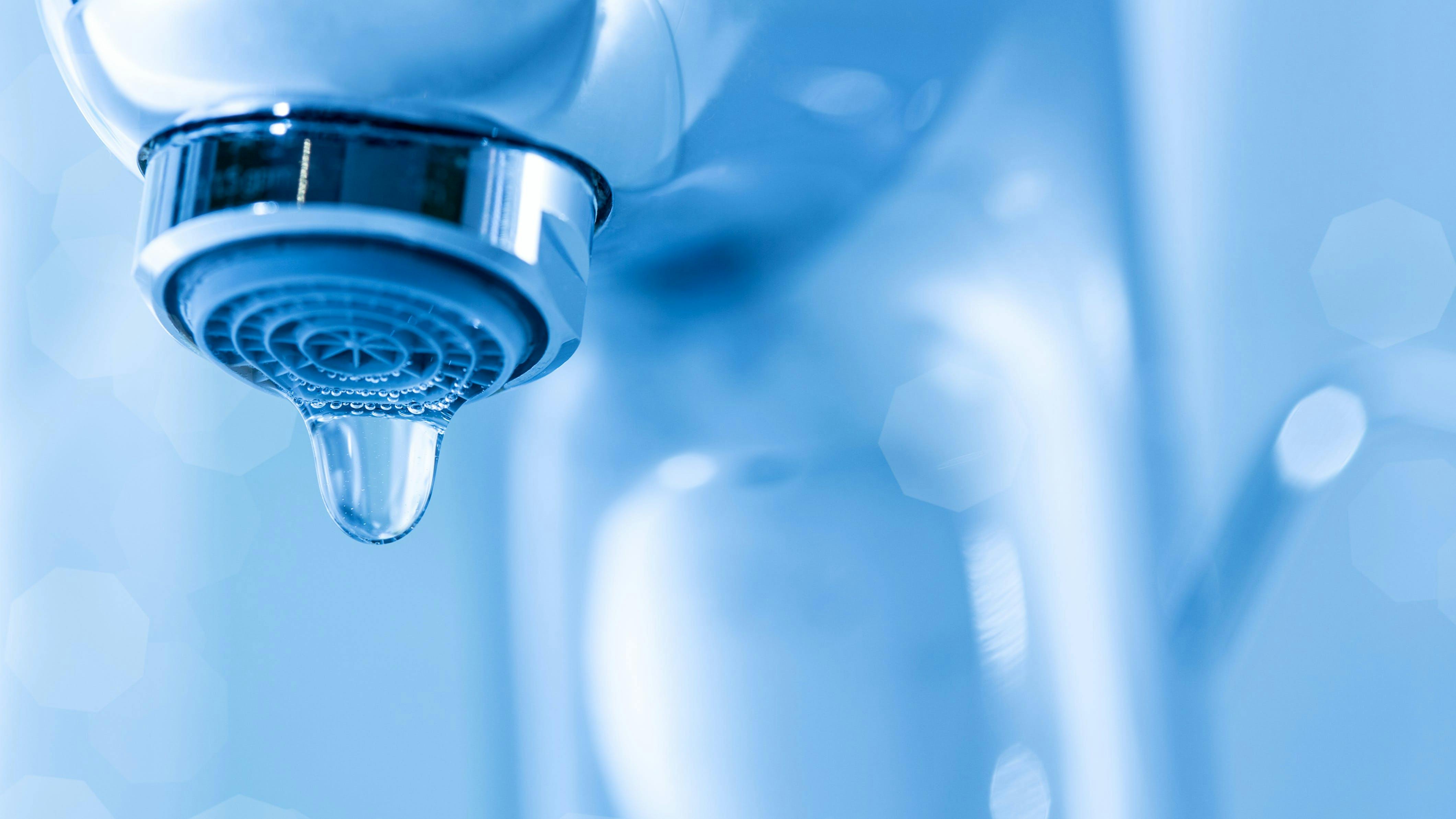 65e7279c1f04ab001e1d891d 657b3627284584001eb44fe9dreamstime Xxl 37230061