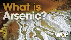 65e727b5a9f492001e1be22f Arsenic 0821 65e727b5a9f492001e1be22f Arsenic 0821