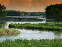 65e7282f1f04ab001e1d89bf Wisconsin 0 65e7282f1f04ab001e1d89bf Wisconsin 0