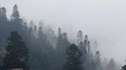 georgia water