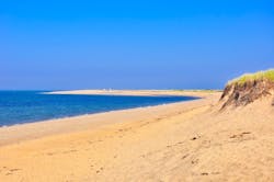 65e728381f04ab001e1d89cf Cape Cod 65e728381f04ab001e1d89cf Cape Cod